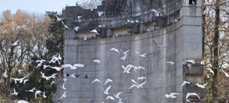 南京仙林中心金鹰广场亚朵酒店图片