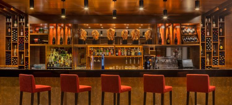 罗塔纳媒体酒店(Radisson Blu Hotel Dubai Barsha Heights)图片