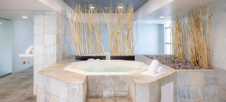 墨西哥城圣达菲巴塞罗酒店(Barceló México Santa Fe)图片