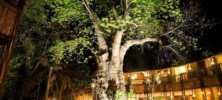 克里斯塔莫瓦讷野外水疗度假村(Cresta Mowana Safari Resort & Spa)图片