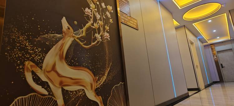 柏林美悦公寓(东莞大朗店)图片