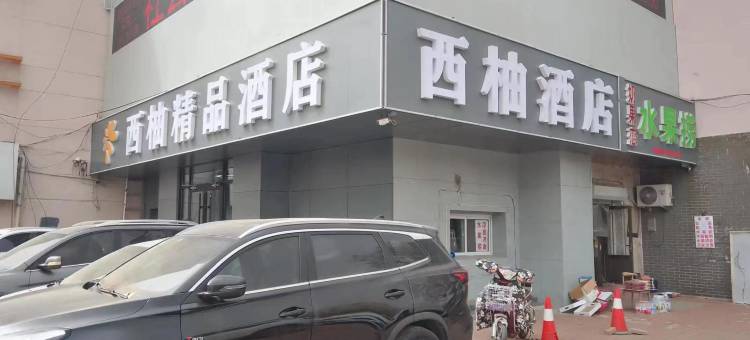 西柚精品酒店(沧州市中心医院清风楼店)图片