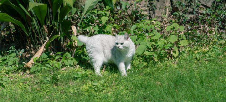安吉1913民宿(Hello Kitty乐园店)图片
