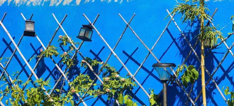 平潭海野石厝民宿(龙王头沙滩店)图片