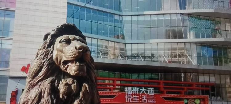 锤子管家式民宿图片