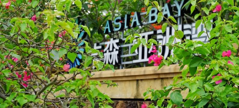 博鳌亚洲湾家禾海景公寓图片