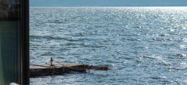 洱海匠庐·蜜湾图片