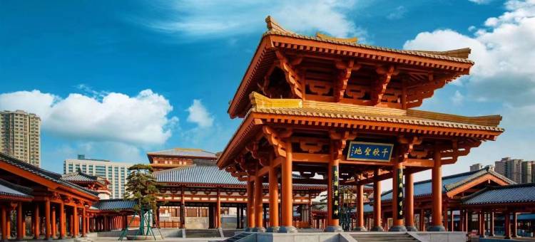 南阳仲景书院图片