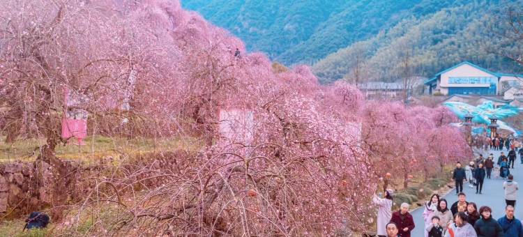葛仙村云端酒店图片