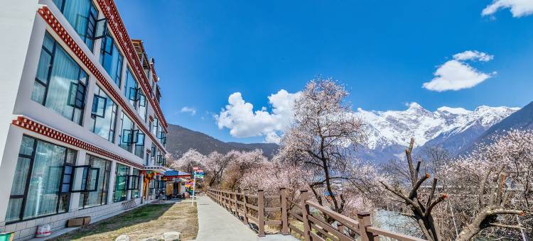 索松村大空里民宿图片