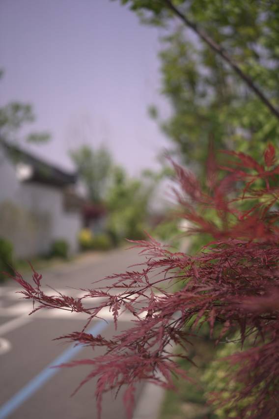 威海笙美高尔夫度假村图片