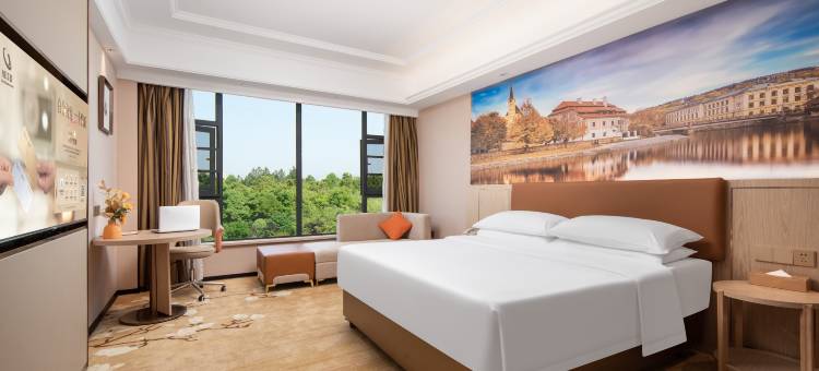 维也纳酒店(麻城文化小镇店)图片