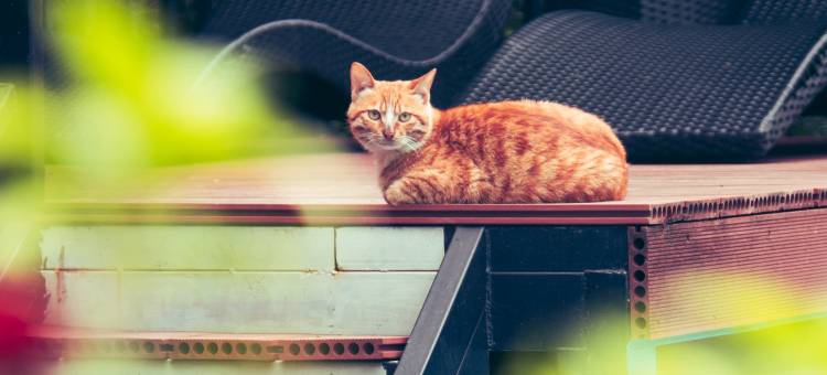 安吉青竹园·临溪·半空泳池·电梯房观景民宿图片