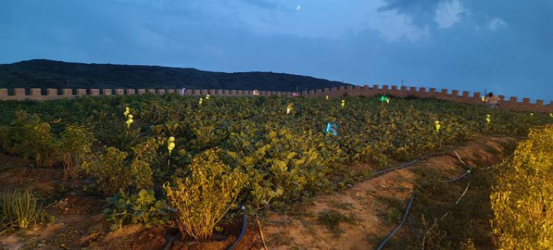 察右后旗三羊锦泰民宿(乌兰哈达火山地质公园店)图片