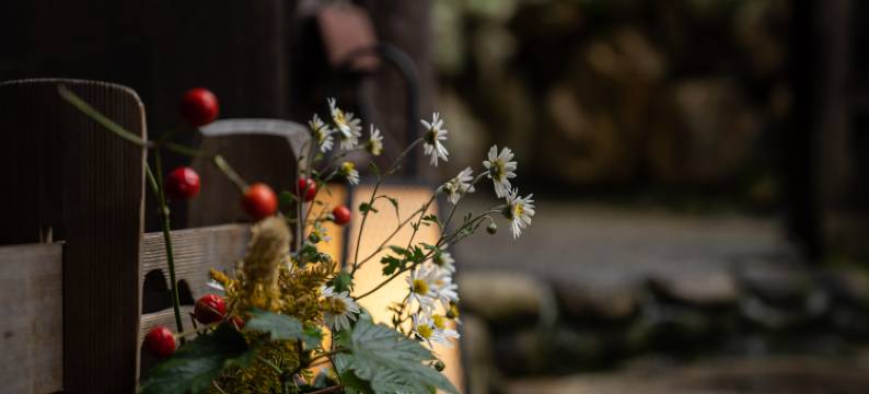 花小宿酒店(Hotel Hanakoyado)图片