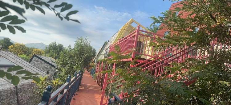 晨雨森林民宿图片