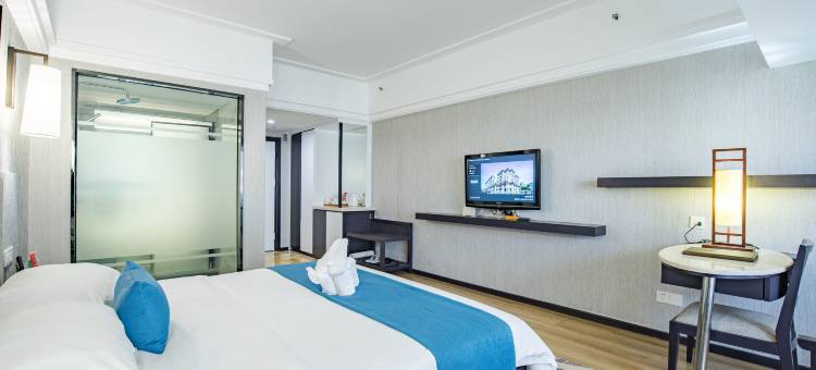 琼海瑞迪森大酒店(银海路店)图片