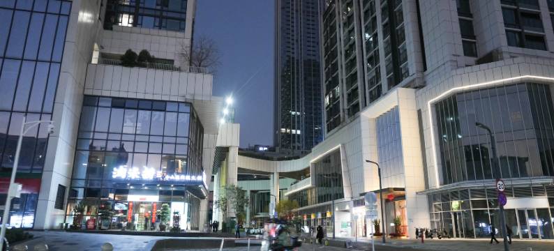 铂曼酒店(灵芝地铁站店)图片