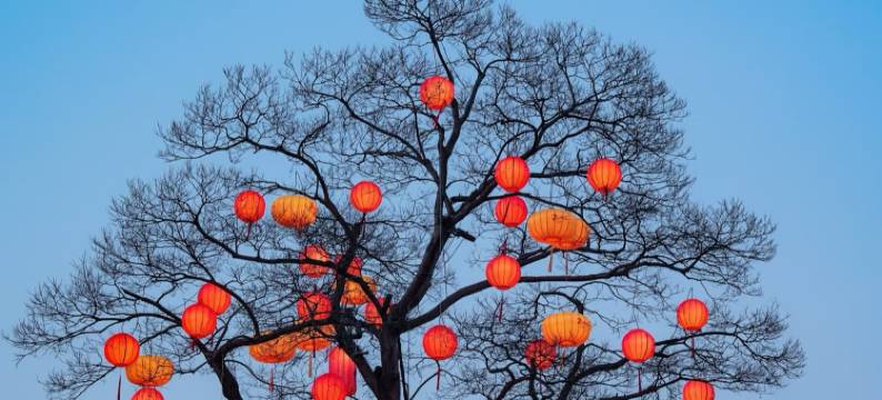 杭州清境西溪民宿(西溪慢生活街区店)图片