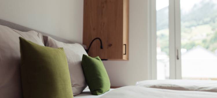 菲伯布伦全套房度假村(All-Suite Resort Fieberbrunn)图片