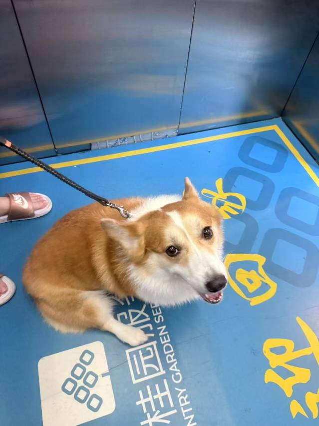 拾光逸居美宿(佛山顺德凤凰湾店)图片