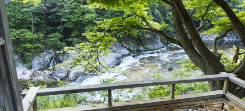 奥三河・湯谷温泉  汤之风HAZU旅馆(Oku-Mikawa・Yuya Onsen Yunokaze HAZU)图片