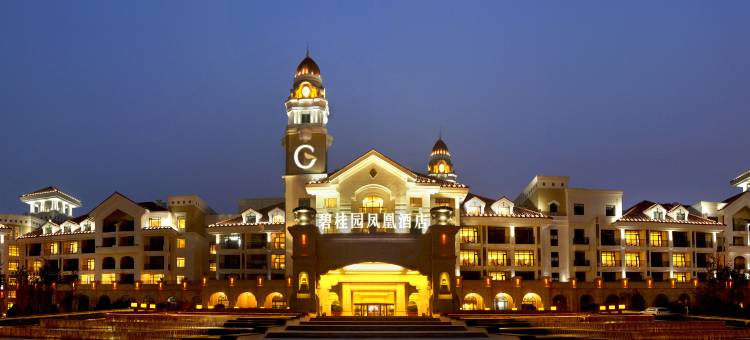 沈阳于洪碧桂园凤凰酒店图片