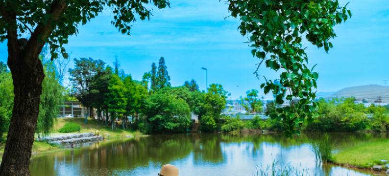 树下小白屋·小羊肖恩主题民宿(安吉白茶观景平台店)图片