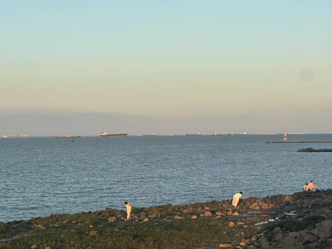 太仓·江外度假庄园(长江口旅游度假区店)图片