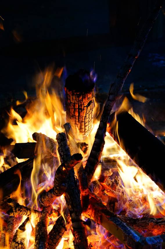 携程度假农庄(安吉君德毓秀联营店)图片