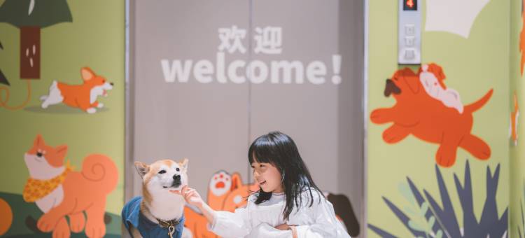 景德镇陶溪川凯悦嘉轩酒店图片