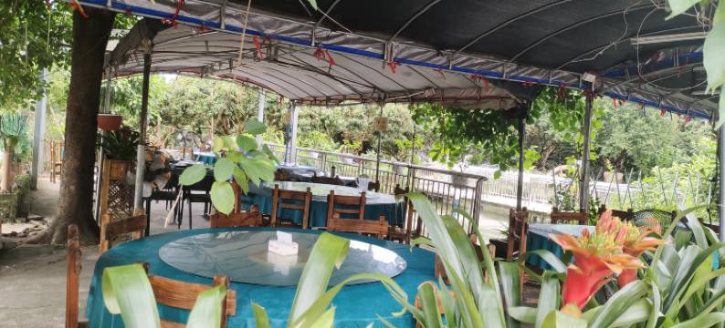 广州南平水云轩民宿图片