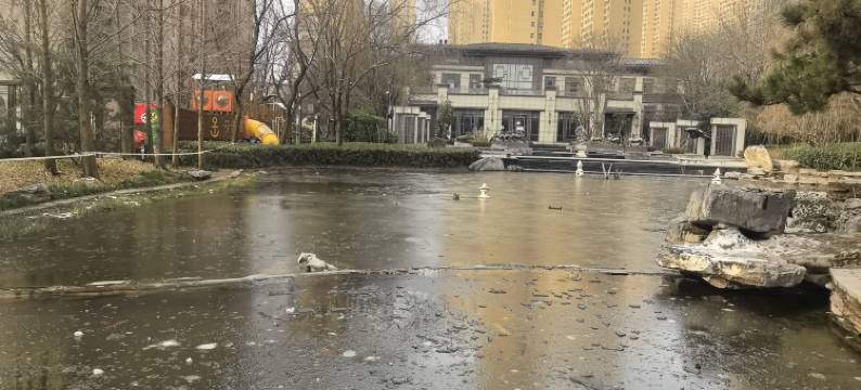 良栖雅舍(丽彩万达广场店)图片