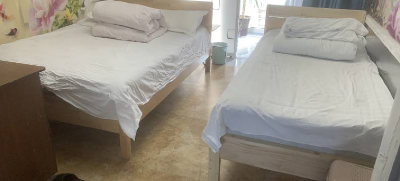 大棵菜旅店图片