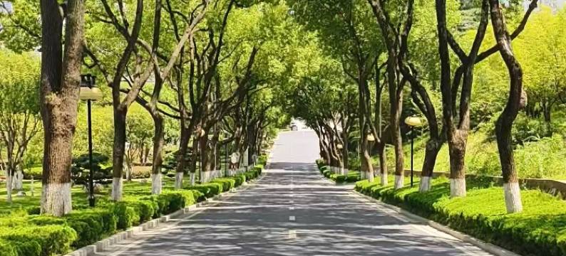 南京华东饭店图片