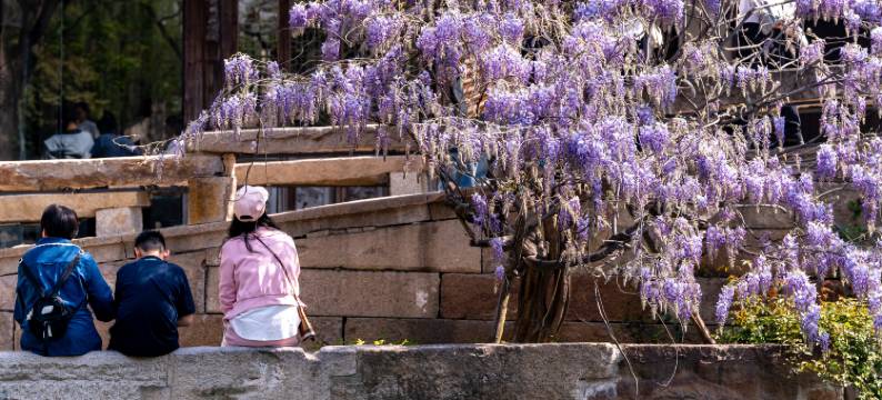 盐官潮乐之城平楚客栈图片