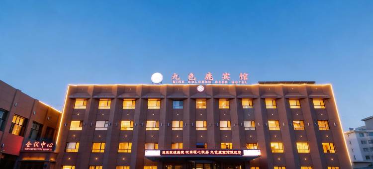敦煌九色鹿宾馆(敦煌夜市店)图片