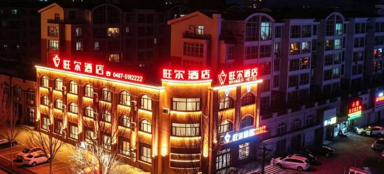 旺尔酒店(密山市政府航空公园店)图片