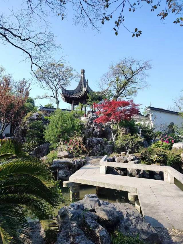 西塘珂园图片