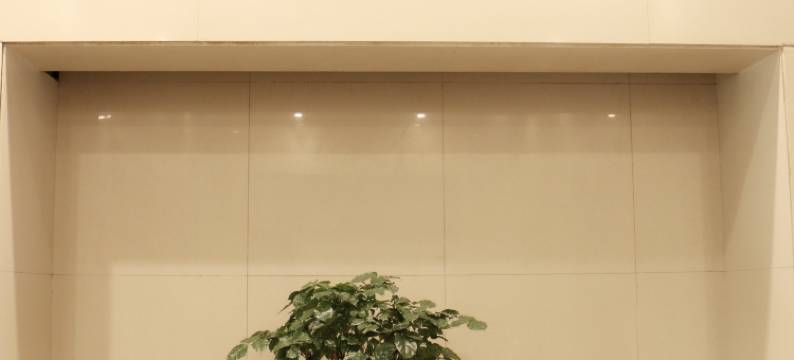 洛阳大好河山度假酒店(火车站应天门地铁站店)图片