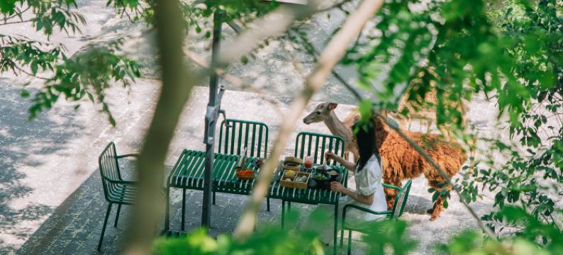 北京在之禾酒店图片