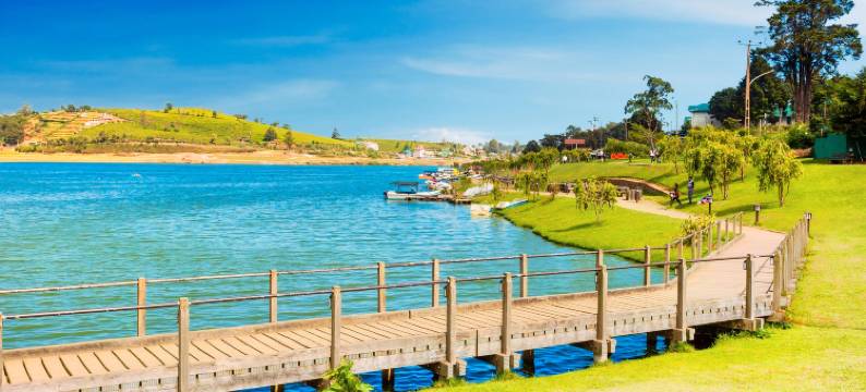 茶园别墅(Villa Tea Fields)图片