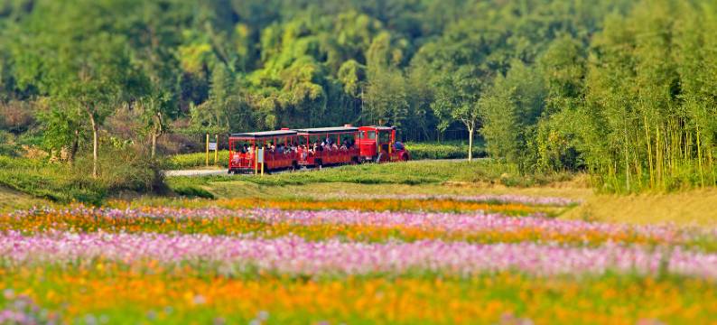 莫干溪谷Sólarfrí度假酒店图片