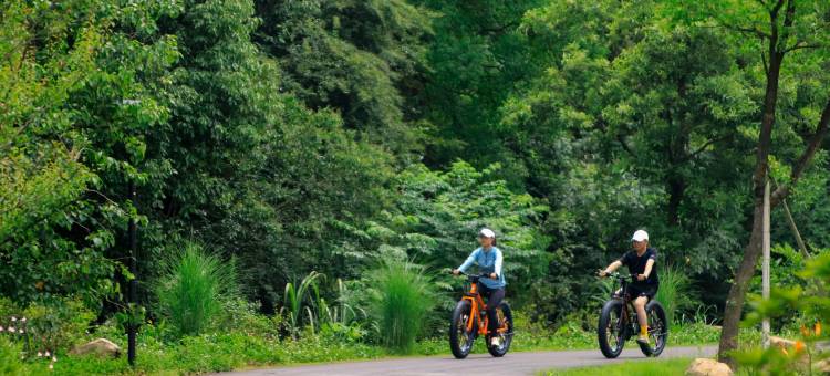 九华山文宗古村酒店图片