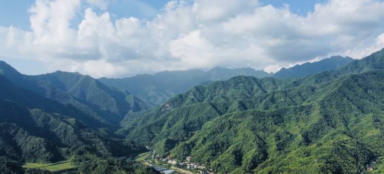 山觅静居(佛坪店)图片