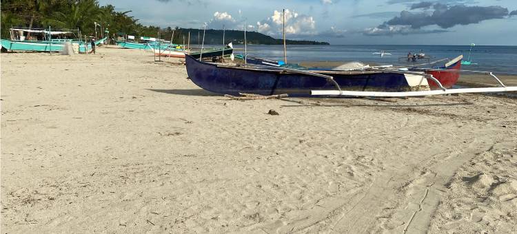 Cocotel 莱雅海滨度假村及水疗中心(Laiya Riviera by Yemaya Powered by Cocotel)图片