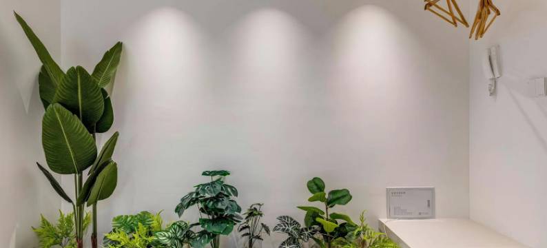 鹿鸣舍设计师民宿(SKP永宁门地铁站店)图片