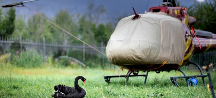 特克斯天悦生态酒店图片