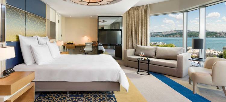 伊斯坦布尔博斯普鲁斯瑞士酒店(Swissotel the Bosphorus Istanbul)图片