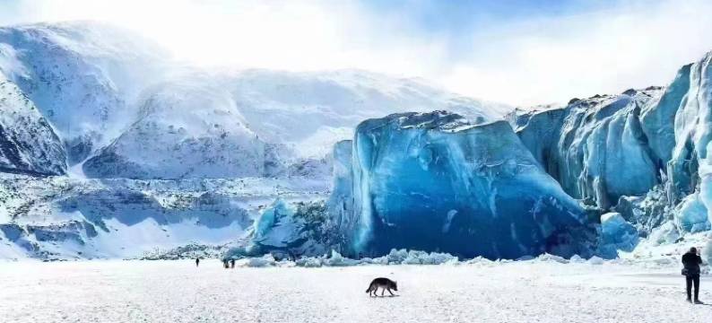 八宿川楚大酒店(318国道店)图片